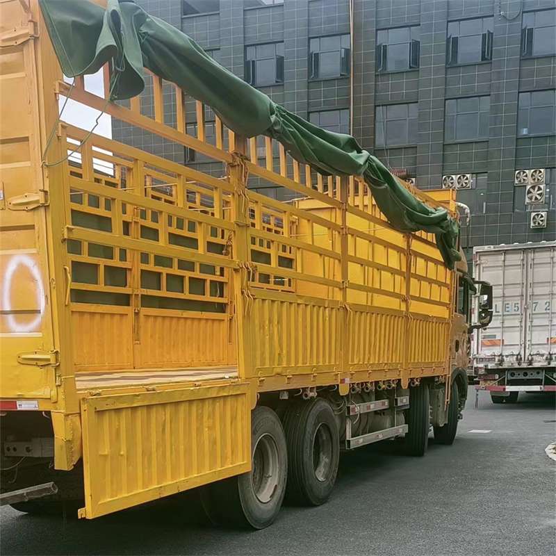 黑龙江齐齐哈尔甘南县到新泰物流公司——一站式货运服务（到新泰的物流）